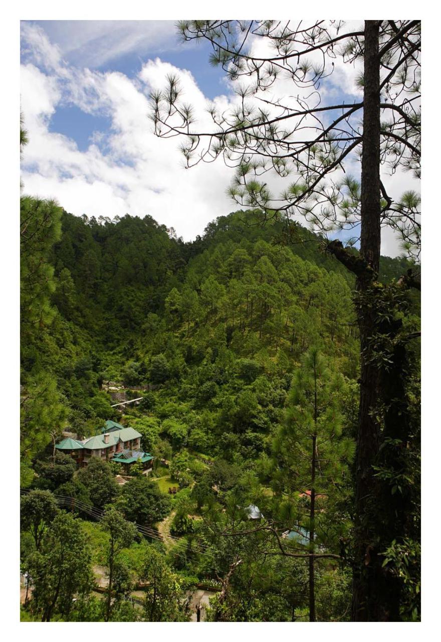 Saffronstays Himalaica, Nainital Bhowali Ngoại thất bức ảnh
